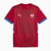 Maillot de Supporter Serbie Domicile Euro 2024 Pour Homme